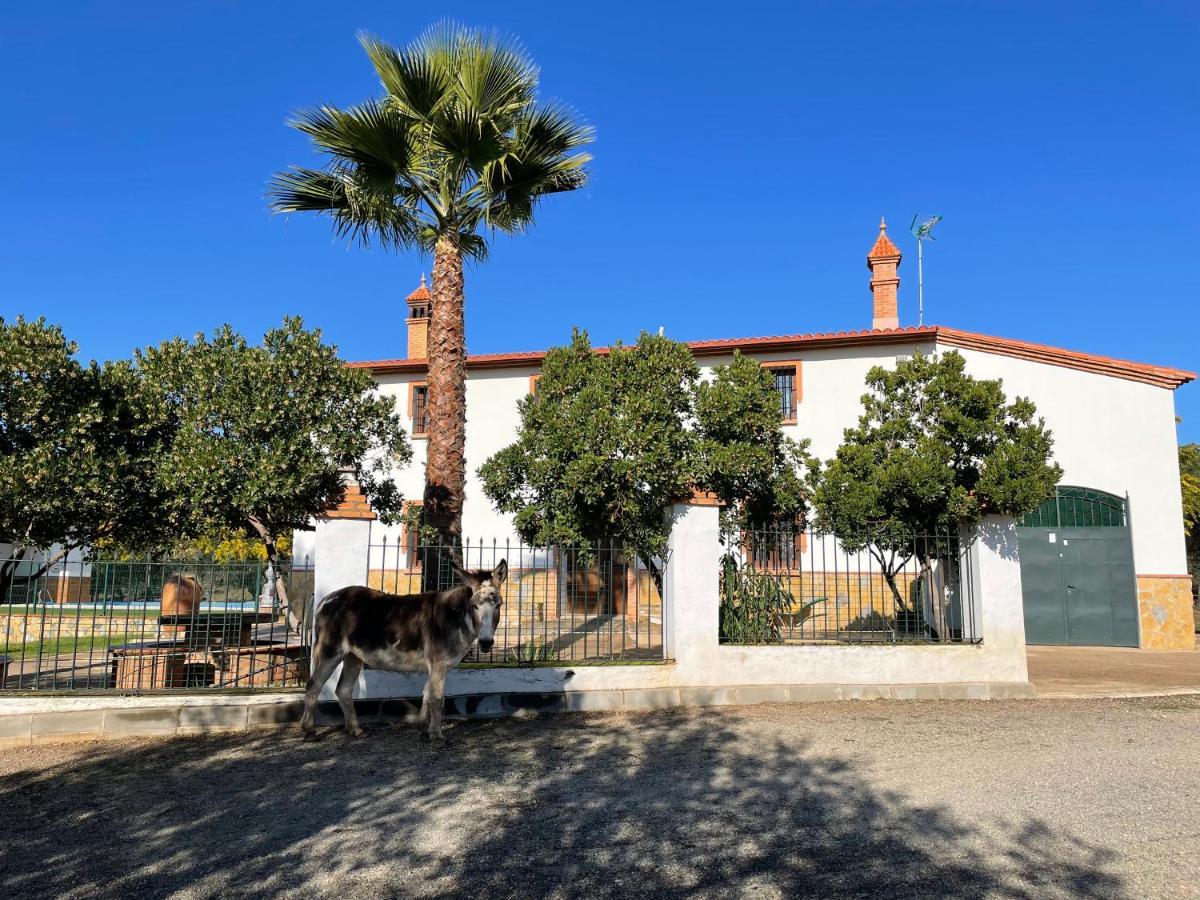 Casa Rural La Galvana Aracena Zewnętrze zdjęcie